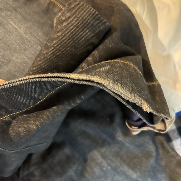 Chloe - Picture 4 of 5